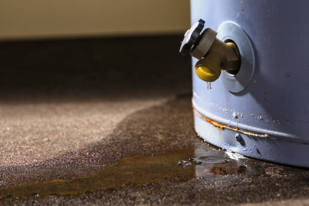 Best Water damage contractors near me  in Northwoods, MO