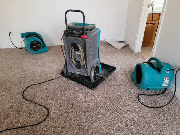 Best Water damage restoration near me  in Northwoods, MO