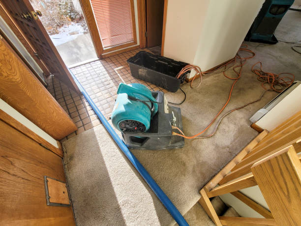 Best Water damage restoration cost  in Northwoods, MO
