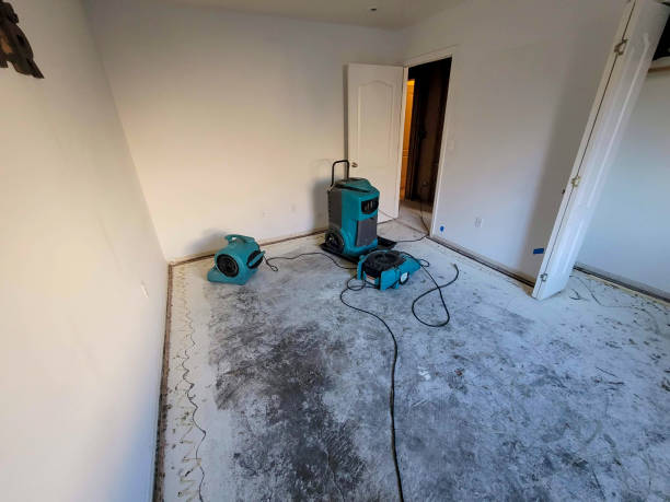 Best Water damage restoration experts  in Northwoods, MO