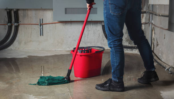 Best Emergency water damage restoration  in Northwoods, MO