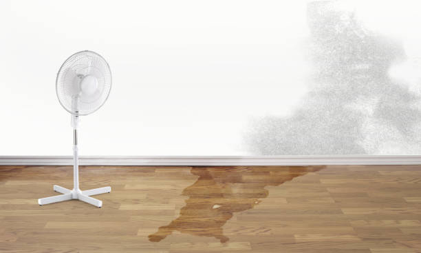 Best Water damage mitigation services  in Northwoods, MO