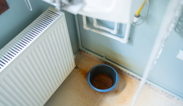 Best Carpet water damage restoration  in Northwoods, MO