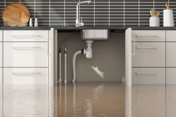Trusted Northwoods, MO Water damage restoration Experts