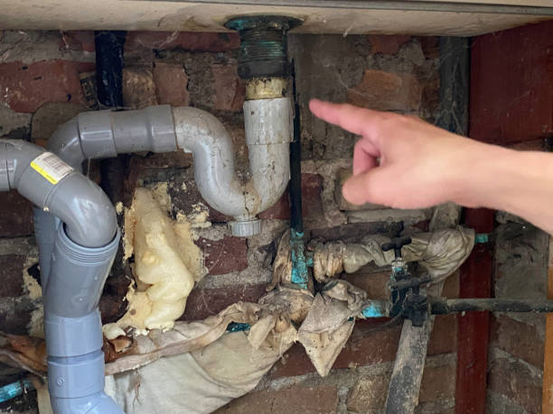 Best Professional water damage repair  in Northwoods, MO