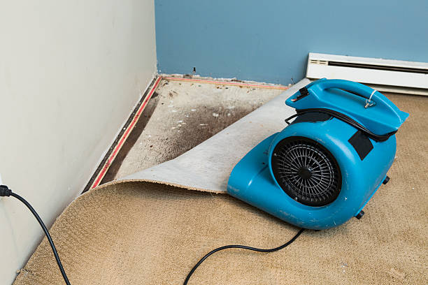 Best Ceiling water damage repair  in Northwoods, MO